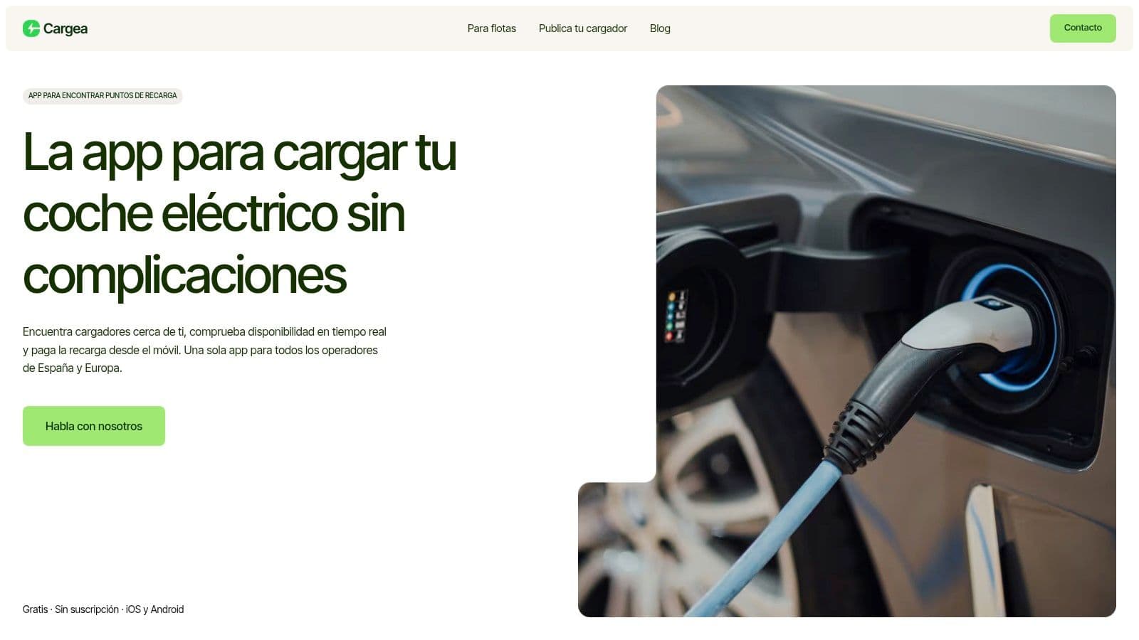 Screenshot from https://cargea.com