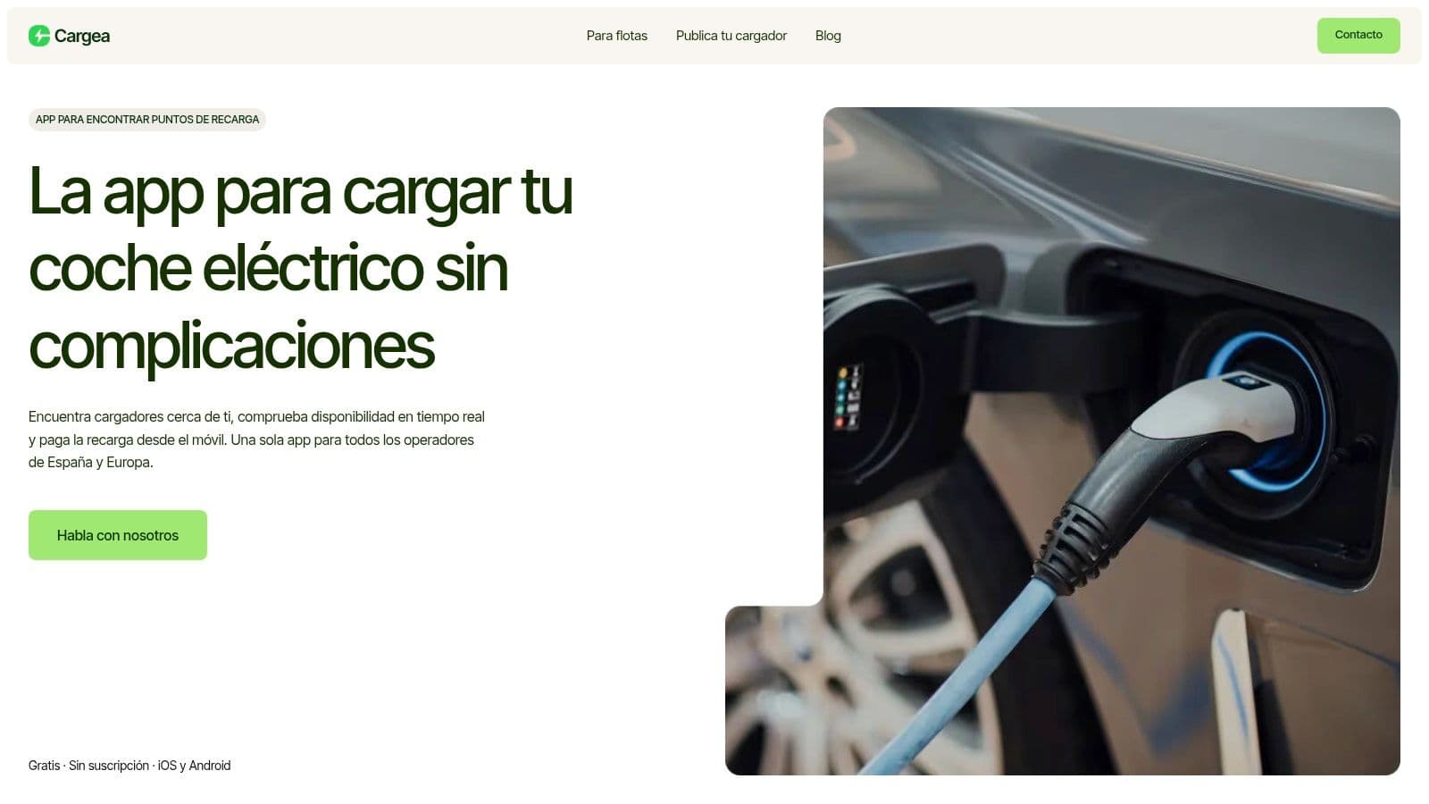 Screenshot from https://cargea.com